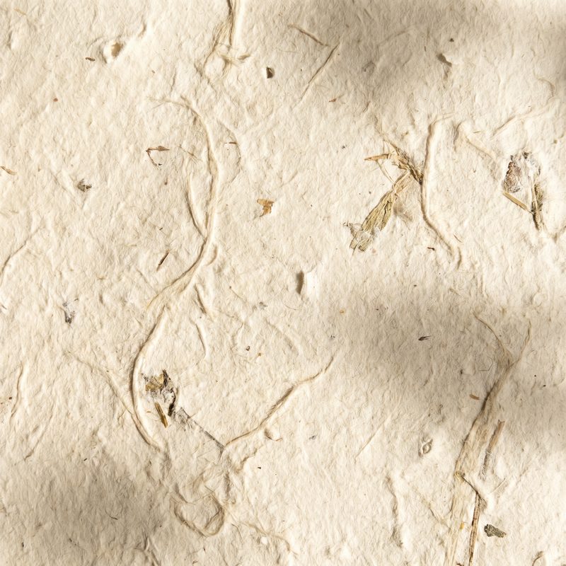 51吃瓜手作纸张的温度 - www.eqzsrde.cn